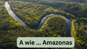 Flüsse mit A -Bild vom Amazonas