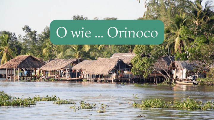 Fluss mit O - der Orinoco