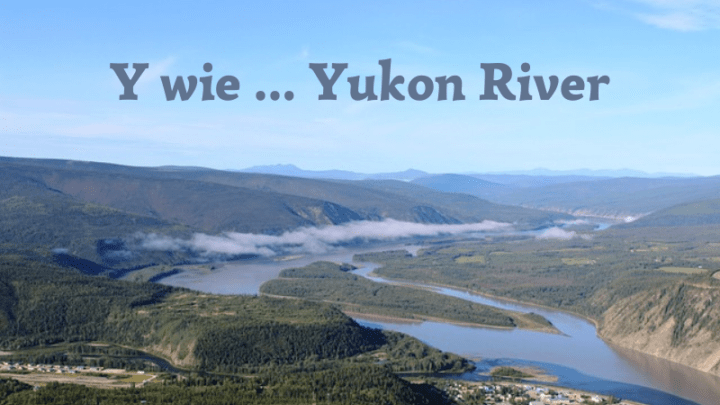 Fluss mit Y - Yukon River