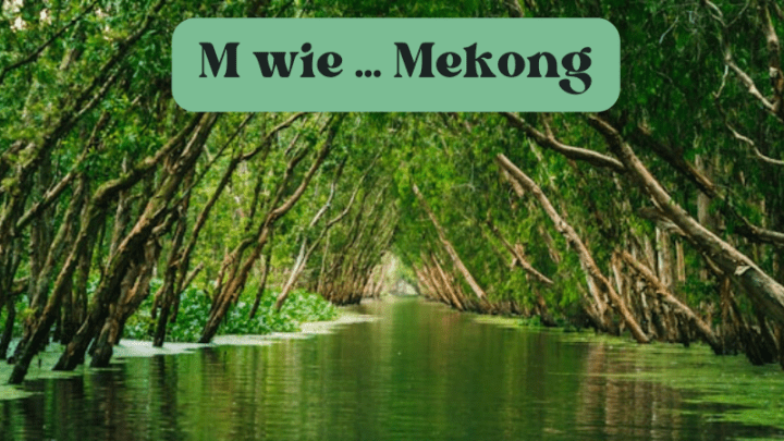 Fluss mit M - Mekon