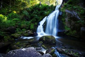 Deutscher Fluss mit Y: Unweit der Triberger Wasserfälle im Schwarzwald fließt ein Bach mit Y, der Yachbach